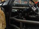 Fiero Cage